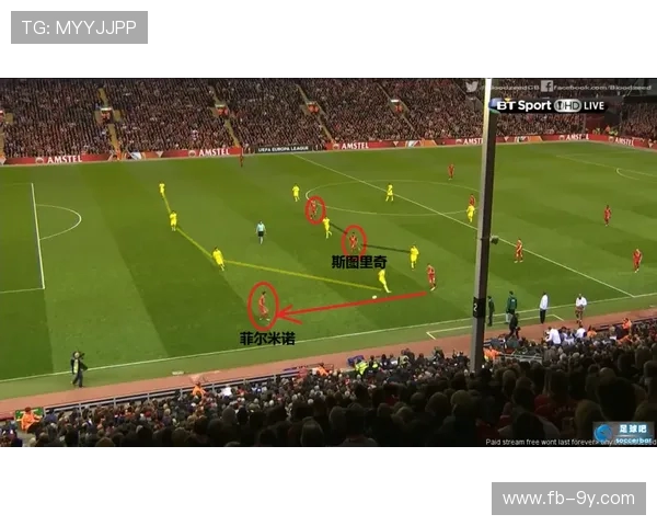 全面梳理保德县足球队名单与队员构成及未来发展全景解析趋势洞察